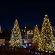 ヒメ日記 2025/12/21 01:06 投稿 しおり みつばちマーヤZ