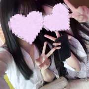 ヒメ日記 2026/01/31 01:23 投稿 しおり みつばちマーヤZ