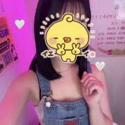 ヒメ日記 2026/02/17 01:34 投稿 しおり みつばちマーヤZ