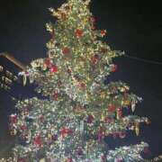 ヒメ日記 2025/12/19 08:14 投稿 ななか マダム西船橋