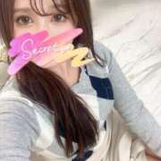 ヒメ日記 2025/11/14 13:01 投稿 桃菜（モモナ） アバンチュール(五反田)