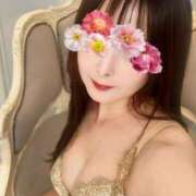 ヒメ日記 2025/11/17 10:16 投稿 桃菜（モモナ） アバンチュール(五反田)