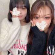 ヒメ日記 2025/12/03 06:51 投稿 はなび LEVEL1