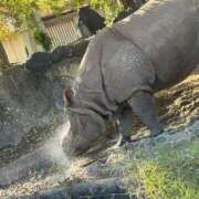 ヒメ日記 2025/11/17 20:01 投稿 あかね アラモード