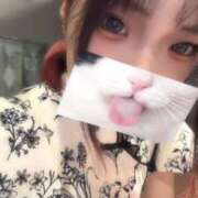 ヒメ日記 2025/11/20 08:40 投稿 あかね アラモード