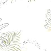 ヒメ日記 2025/11/13 08:41 投稿 笹原 鶯谷デッドボール