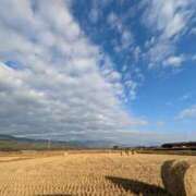 ヒメ日記 2025/11/29 20:20 投稿 かりん 宇都宮人妻デリバリー 一期一会 二章