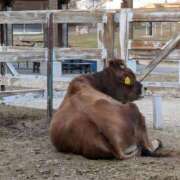 ヒメ日記 2025/12/03 20:21 投稿 かりん 宇都宮人妻デリバリー 一期一会 二章