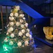 ヒメ日記 2025/11/18 23:42 投稿 冬月るい 新ハイブリッドエステ エクスタシーPLUS