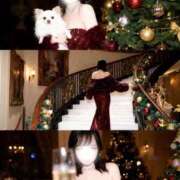 ヒメ日記 2025/12/29 21:12 投稿 冬月るい 新ハイブリッドエステ エクスタシーPLUS