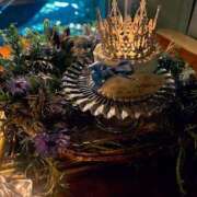 ヒメ日記 2026/02/24 17:56 投稿 冬月るい 新ハイブリッドエステ エクスタシーPLUS