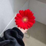 桜木 みつり ありがとうございます🫶🏻 Canx2神戸店