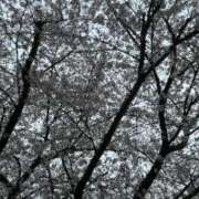 ヒメ日記 2026/04/07 15:15 投稿 いろえ 千葉サンキュー