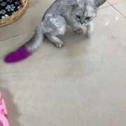 あゆ 待機中です🐥⸒⸒ Vitamin〜ビタミン〜