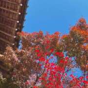 るい奥様 こんにちは！ 人妻です