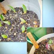 ヒメ日記 2026/02/06 11:48 投稿 るい奥様 人妻です