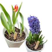 ヒメ日記 2026/03/30 19:27 投稿 るい奥様 人妻です