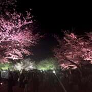 ヒメ日記 2026/04/06 20:33 投稿 あむちゅ あるまぎ！