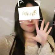 ヒメ日記 2026/01/29 21:50 投稿 せり Tokyo fairy land-東京フェアリーランド-