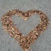 ヒメ日記 2025/11/11 13:30 投稿 らいか ドMなバニーちゃん 柴田店