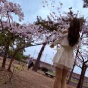 ヒメ日記 2026/04/07 04:51 投稿 ーAMI神秘的で美しいー GOOD-グッド-
