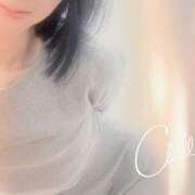 美倉愛子 good night 五十路マダム 浜松店(カサブランカグループ)