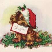 ヒメ日記 2025/12/17 08:24 投稿 たね 出会い系人妻ネットワーク 春日部〜岩槻編