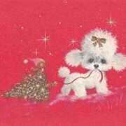 たね ♡おやすみなさい…♡ 出会い系人妻ネットワーク 春日部〜岩槻編