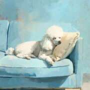 ヒメ日記 2026/01/12 21:04 投稿 たね 出会い系人妻ネットワーク 春日部〜岩槻編