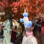 ヒメ日記 2025/11/19 09:49 投稿 ほしな 奥様の実話 谷九店