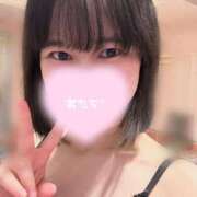 ヒメ日記 2025/11/23 09:37 投稿 アカリ ピカソ