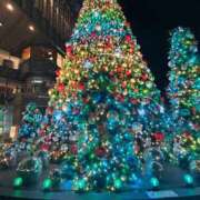 ヒメ日記 2025/12/28 23:36 投稿 アカリ ピカソ