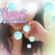 ヒメ日記 2026/03/30 17:03 投稿 とおる 熟女の風俗最終章 新宿店