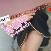 ヒメ日記 2026/06/10 15:14 投稿 とおる 熟女の風俗最終章 池袋店