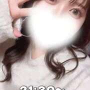 ヒメ日記 2025/12/24 11:41 投稿 みるきー ピンクコレクション大阪