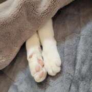 ヒメ日記 2025/11/22 12:17 投稿 沙羅(さら) 人妻城 横浜本店