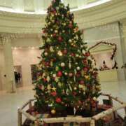 ヒメ日記 2025/12/06 21:18 投稿 沙羅(さら) 人妻城 横浜本店