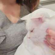 ヒメ日記 2025/12/12 22:32 投稿 沙羅(さら) 人妻城 横浜本店