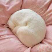 ヒメ日記 2025/12/13 17:08 投稿 沙羅(さら) 人妻城 横浜本店