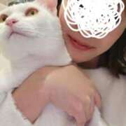 ヒメ日記 2025/12/14 10:26 投稿 沙羅(さら) 人妻城 横浜本店