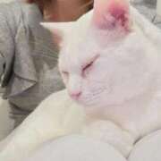 ヒメ日記 2025/12/18 17:33 投稿 沙羅(さら) 人妻城 横浜本店