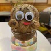 ヒメ日記 2026/01/13 15:35 投稿 沙羅(さら) 人妻城 横浜本店