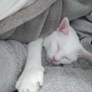 ヒメ日記 2026/01/20 01:09 投稿 沙羅(さら) 人妻城 横浜本店