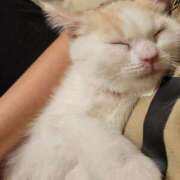 ヒメ日記 2026/03/21 00:19 投稿 沙羅(さら) 人妻城 横浜本店