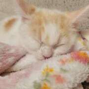 ヒメ日記 2026/04/21 23:35 投稿 沙羅(さら) 人妻城 横浜本店