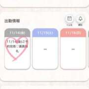 ヒメ日記 2025/11/14 20:05 投稿 ななこ★S級女子アナ系和風美女 Bell～S級美女お姉様・人妻デリヘル～