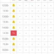 ヒメ日記 2026/01/15 11:09 投稿 ななこ★S級女子アナ系和風美女 Bell～S級美女お姉様・人妻デリヘル～