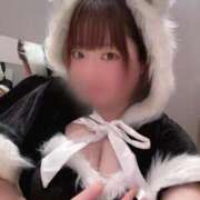 ヒメ日記 2025/12/16 16:31 投稿 セリ COCOMERO（ココメロ）