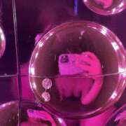 ヒメ日記 2026/03/16 12:31 投稿 セリ COCOMERO（ココメロ）