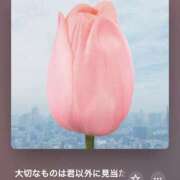 ヒメ日記 2026/10/06 11:31 投稿 セリ COCOMERO（ココメロ）